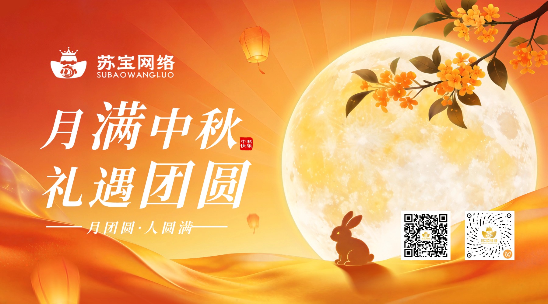 苏宝.jpg